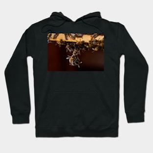 Acrobats Hoodie